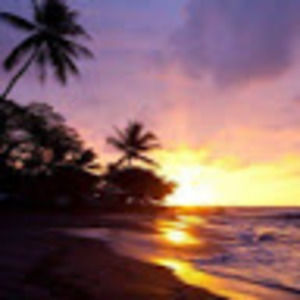 Meet your Posher, Molly